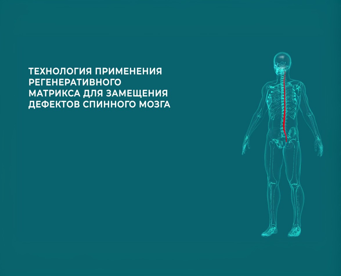 ФМБА России запатентовало высокотехнологичный лекарственный препарат и инновационный метод лечения спинальной травмы 