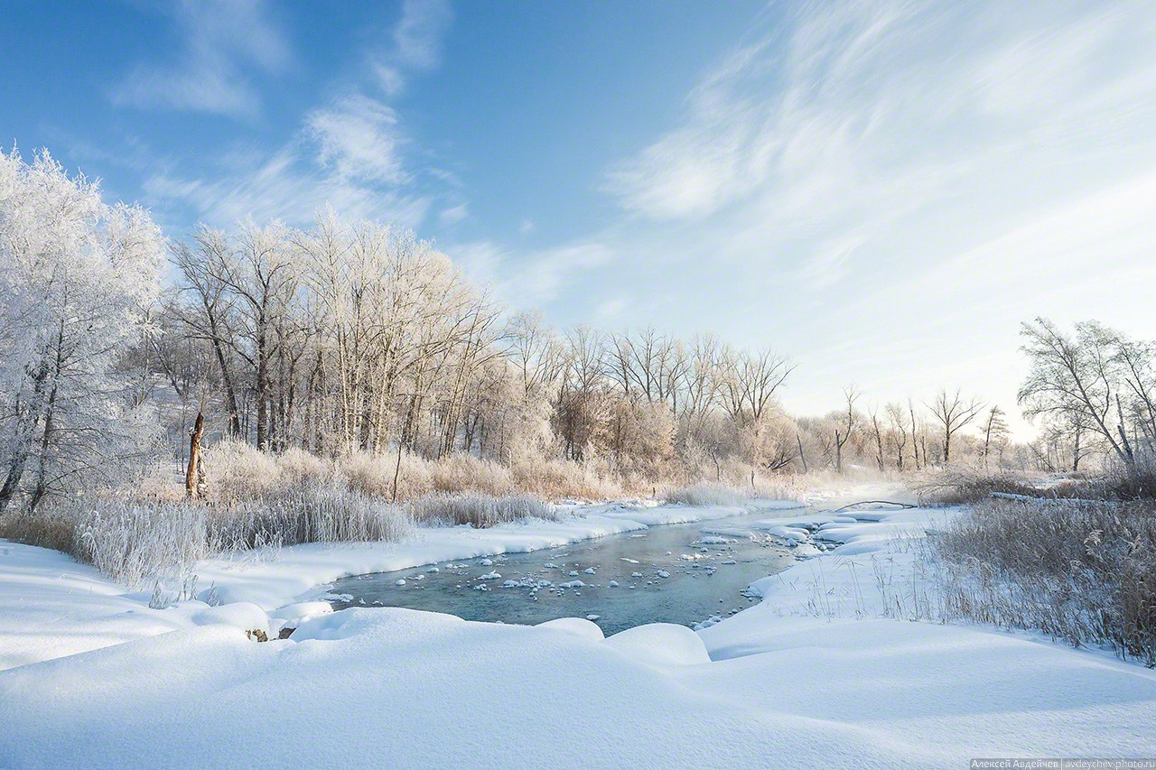 Реализация оздоровительных программ на новогодний период